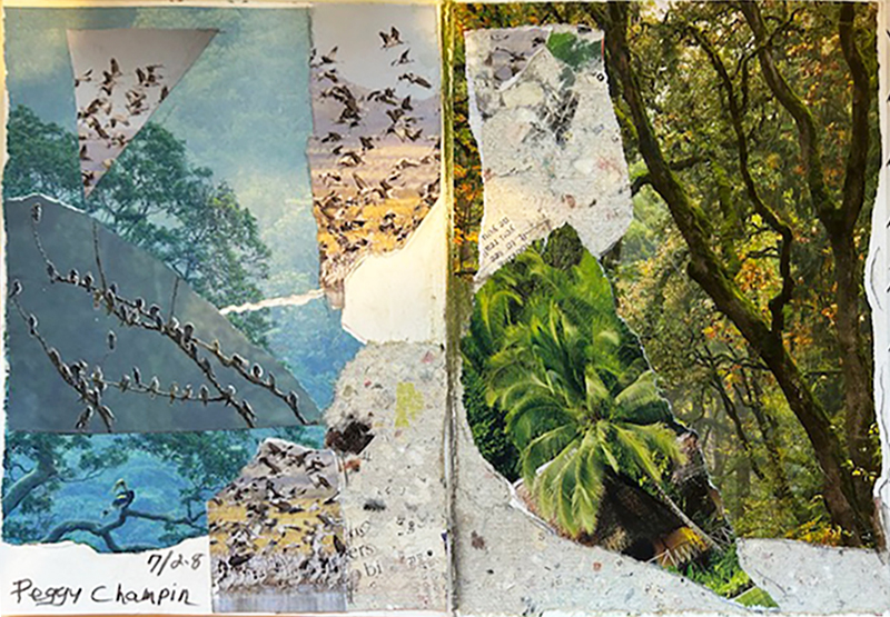 Peggy Champin