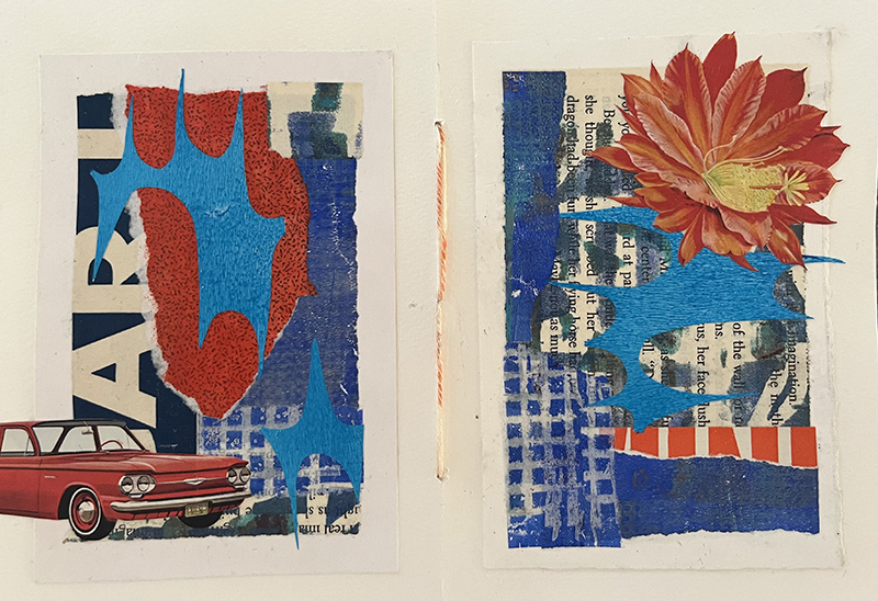 Ann Naumann