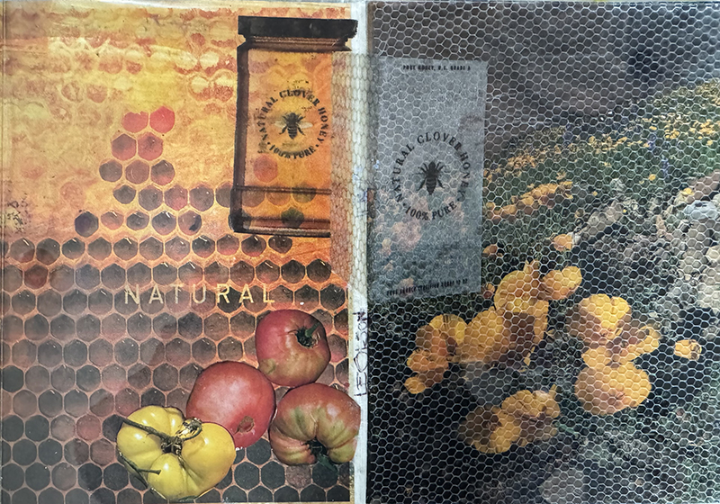 Lynne Olson