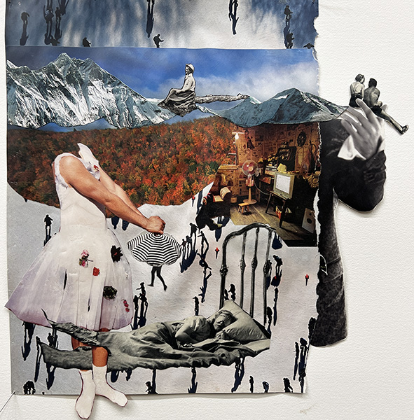 Terri Bevelacqua