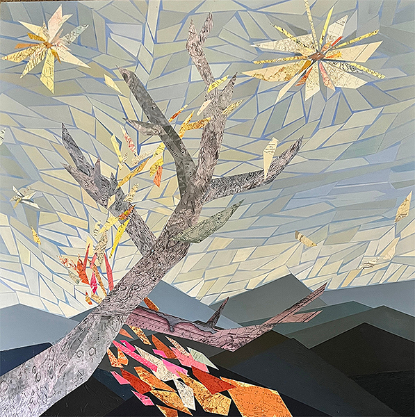 Amy Ferron