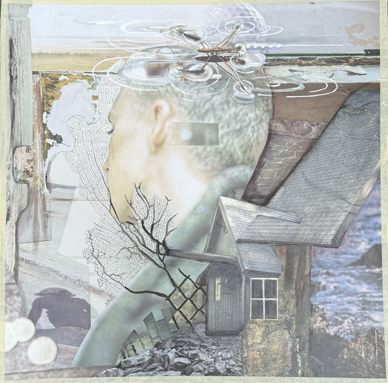 Collage Jasper Daly